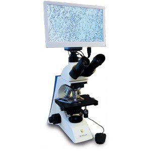 Micro Screen – общепрофессиональный лабораторный микроскоп